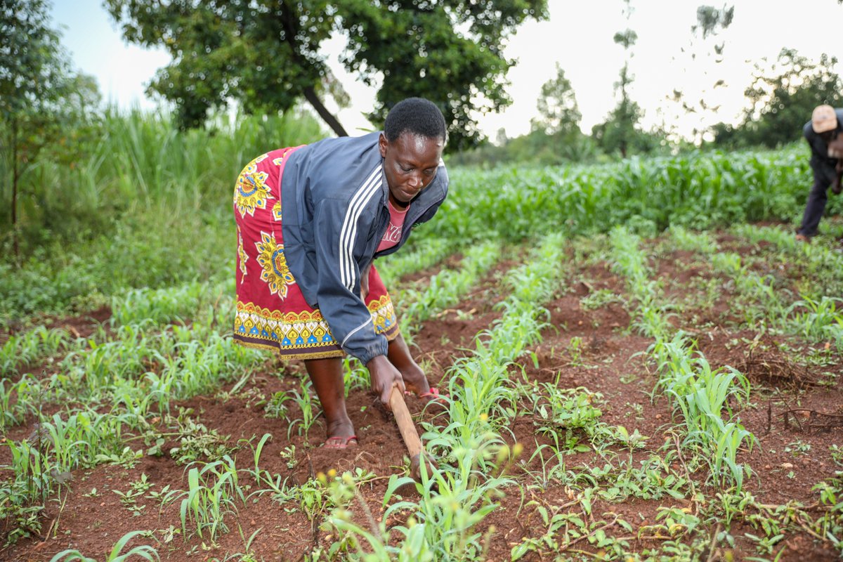 Economic empowerment for people with disabilities isn’t just about jobs – it’s about independence. See how we’re making this happen: sightsavers.org/disability-and….  #DisabilityInclusion