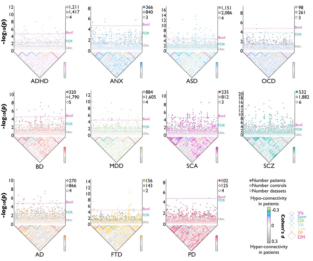 Ilan Libedinsky tweet media