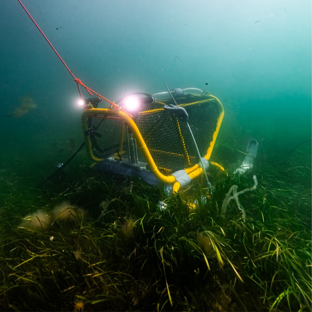 We would like to say a MASSIVE thank you to everyone who supported our Crowdfunder! 

Thanks to your support we raised an incredible £26,095  🎉 

Whilst the official campaign is now over, you can still donate to support our seed harvester project via 👉 ow.ly/iP4350TQugS