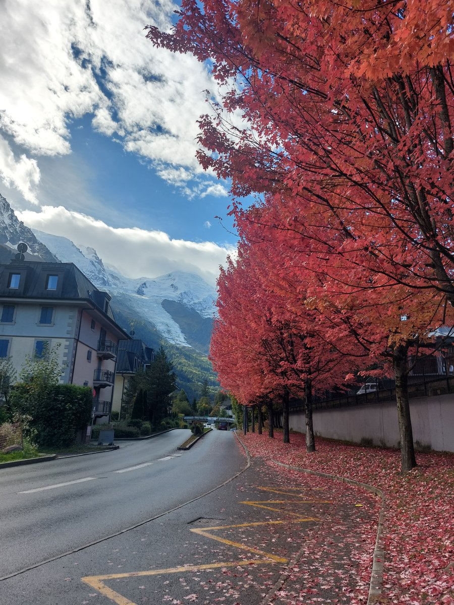 Awesome autumn in Chamonix. Take the lift up to Plan de l'Aiguille and enjoy these amazing views. When you come down  join in with the autumnal and Toussaint events in town.
visit SeeChamonix.com
#chamonix #chamonixmontblanc #autumninchamonix #seechamonix #seechamonix