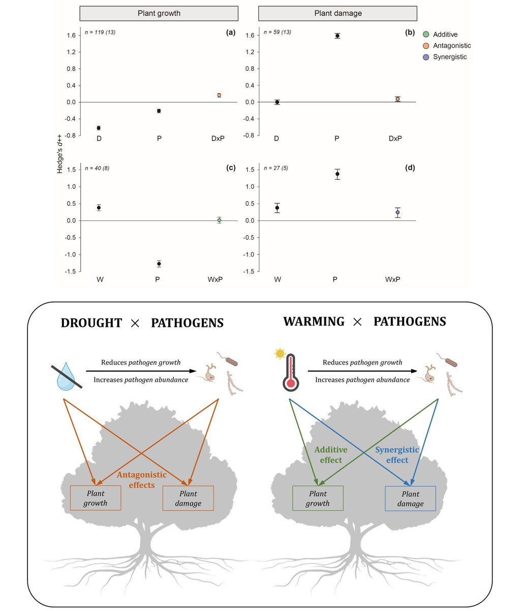 Global Change Biology tweet media