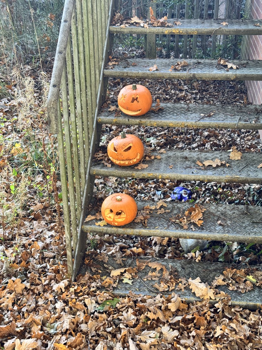 Well done to the house pumpkin carvers. The winners are Kyle and Summer from 12DCR. Their effort will be displayed in the school reception.🎃