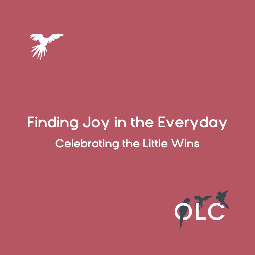 Officially Lisa Connell tweet media