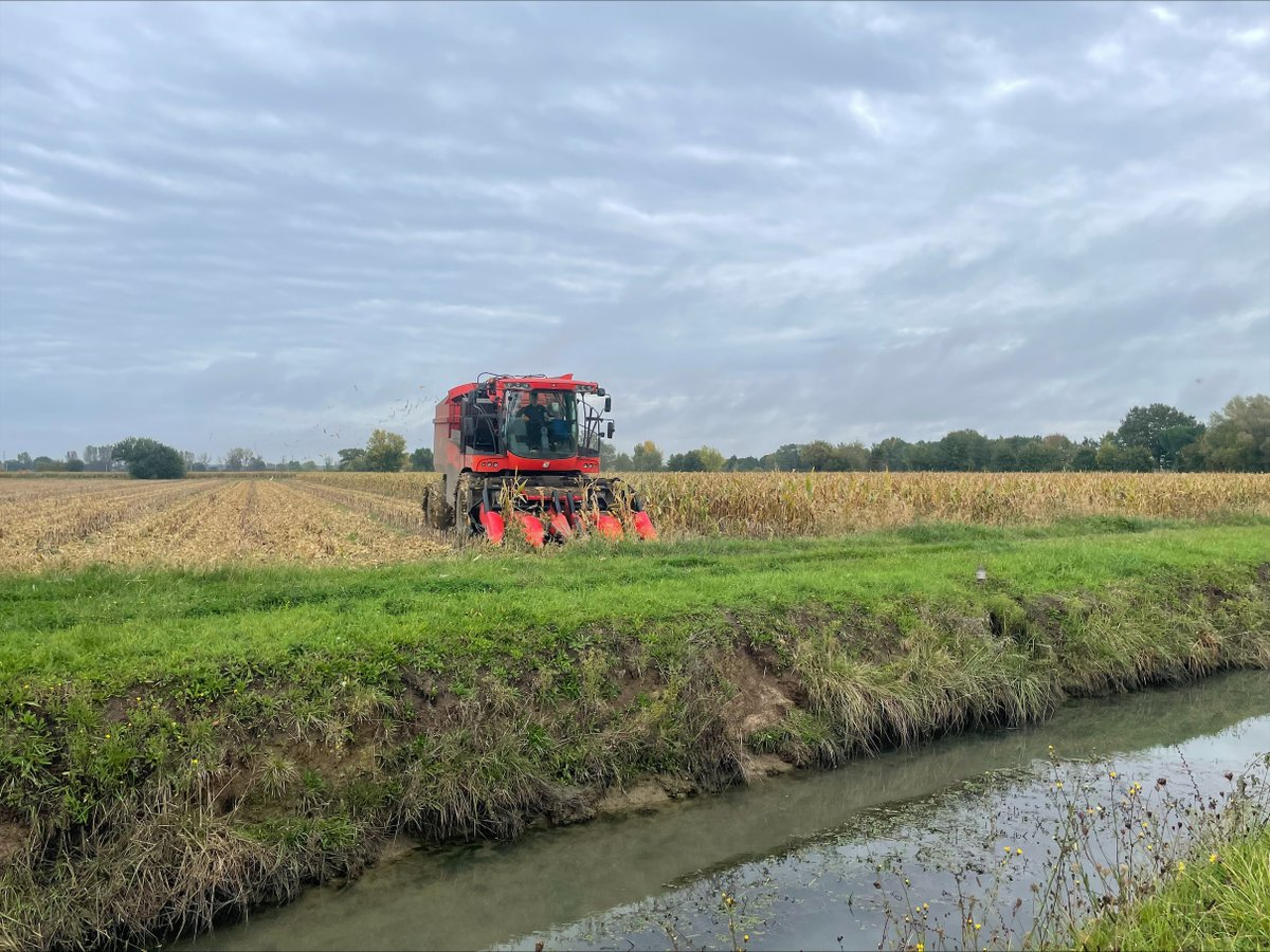 Harpers Feeds tweet media