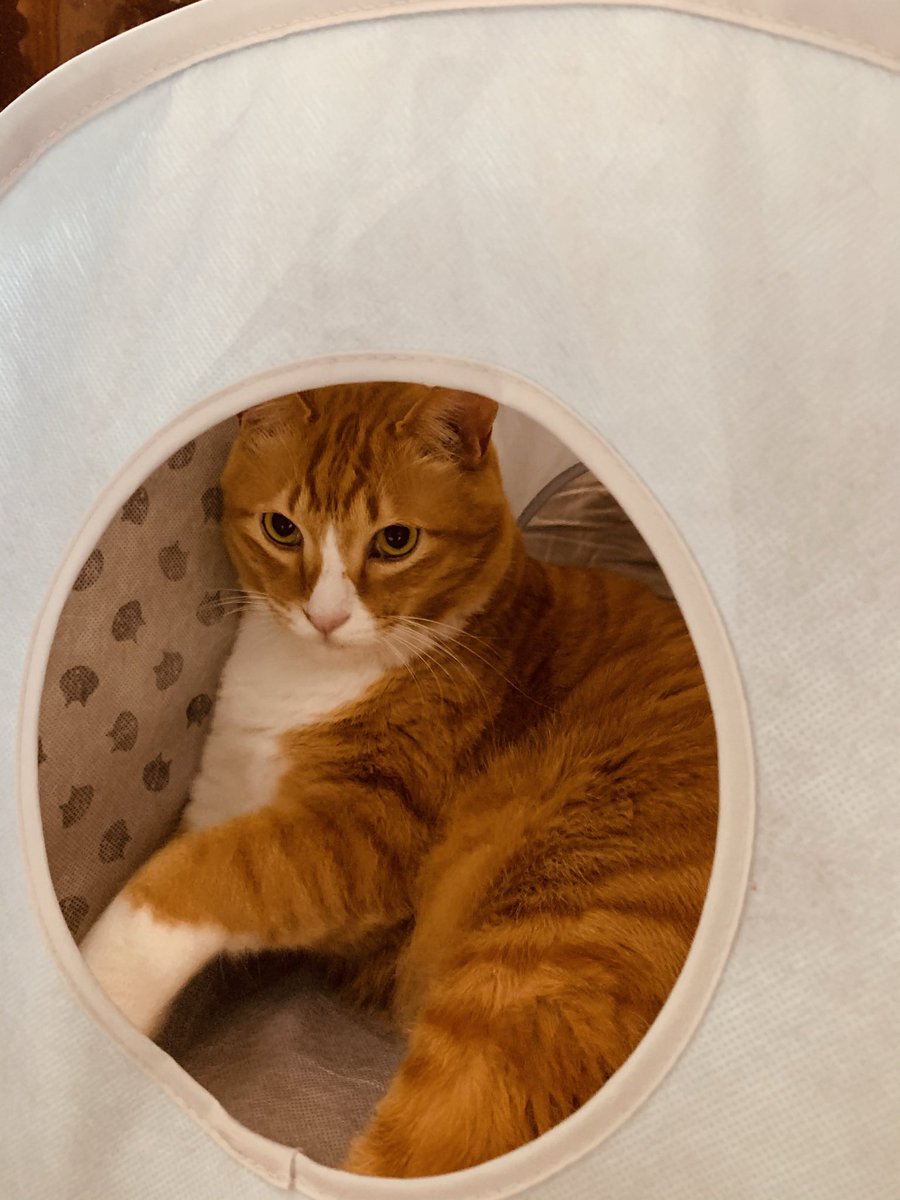 今日で活動4周年らしい いつも楽しく生活できてるのは皆さんおかげだ