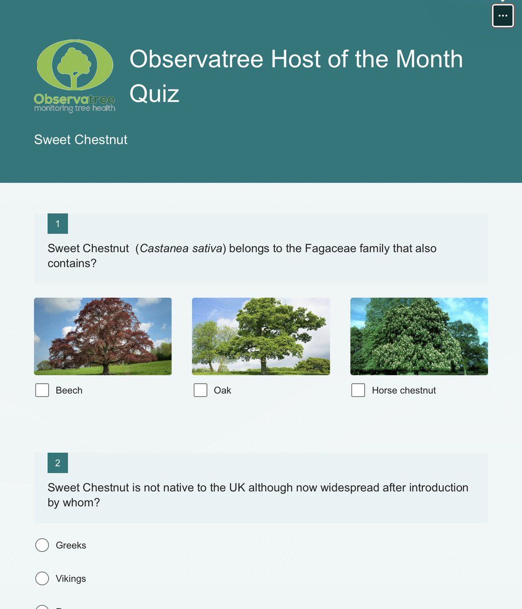cobwebdr's tweet image. Great sweet chestnut pest &amp;amp; disease blog observatree.org.uk/blog/ @Bertolicus #observatree &amp;amp; quiz forms.office.com/e/7e20D0KADV.  @LTOA33 @YorksArboretum @ArbAssociation @EPPOnews @plantchief @PlantChiefScot @WoodlandTrust @APHAgovuk @IPSN_BGCI @PlantNetwork @SylvaFoundation @BIFoRUoB