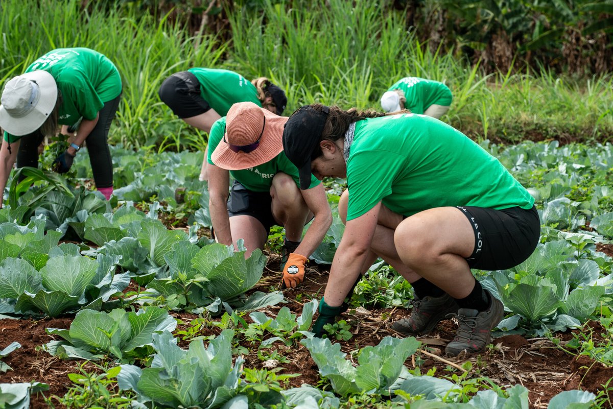 Farm Africa (@farmafrica) on Twitter photo 🙌Thank you to the corporate sponsors of the #GROWforGood challenge for making a lasting impact on the lives of female farmers in E Africa.🙌
<a href="/UniversityLeeds/">University of Leeds</a> Finsbury Food Group <a href="/DanishCrownUK/">Danish Crown UK</a> <a href="/NFUtweets/">National Farmers' Union</a> <a href="/NVIGORltd/">NVIGOR</a> Point 74 <a href="/wildfarmed/">Wildfarmed</a> <a href="/HJLea/">HJ Lea Oakes Ltd</a>
Read more: farmafrica.org/growforgood 🙌Thank you to the corporate sponsors of the #GROWforGood challenge for making a lasting impact on the lives of female farmers in E Africa.🙌
<a href="/UniversityLeeds/">University of Leeds</a> Finsbury Food Group <a href="/DanishCrownUK/">Danish Crown UK</a> <a href="/NFUtweets/">National Farmers' Union</a> <a href="/NVIGORltd/">NVIGOR</a> Point 74 <a href="/wildfarmed/">Wildfarmed</a> <a href="/HJLea/">HJ Lea Oakes Ltd</a>
Read more: farmafrica.org/growforgood
