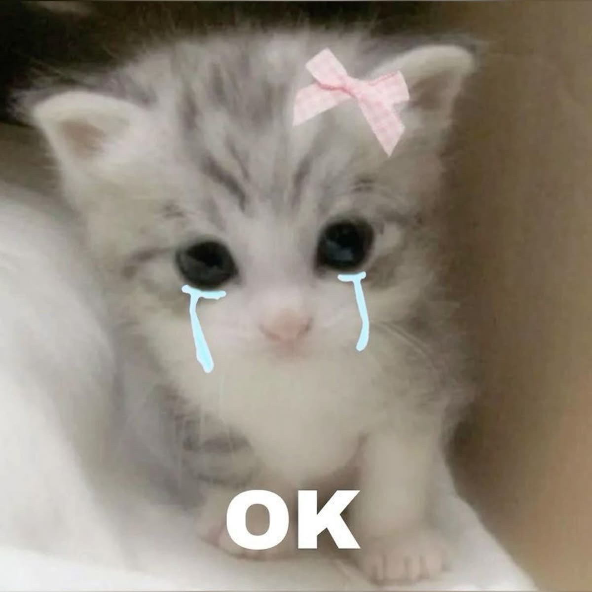 𝑅𝑒𝑛𝑒𝑧 𝐾𝑜ℎ𝑙𝑒𝑟 (@renattaesme) on Twitter photo 