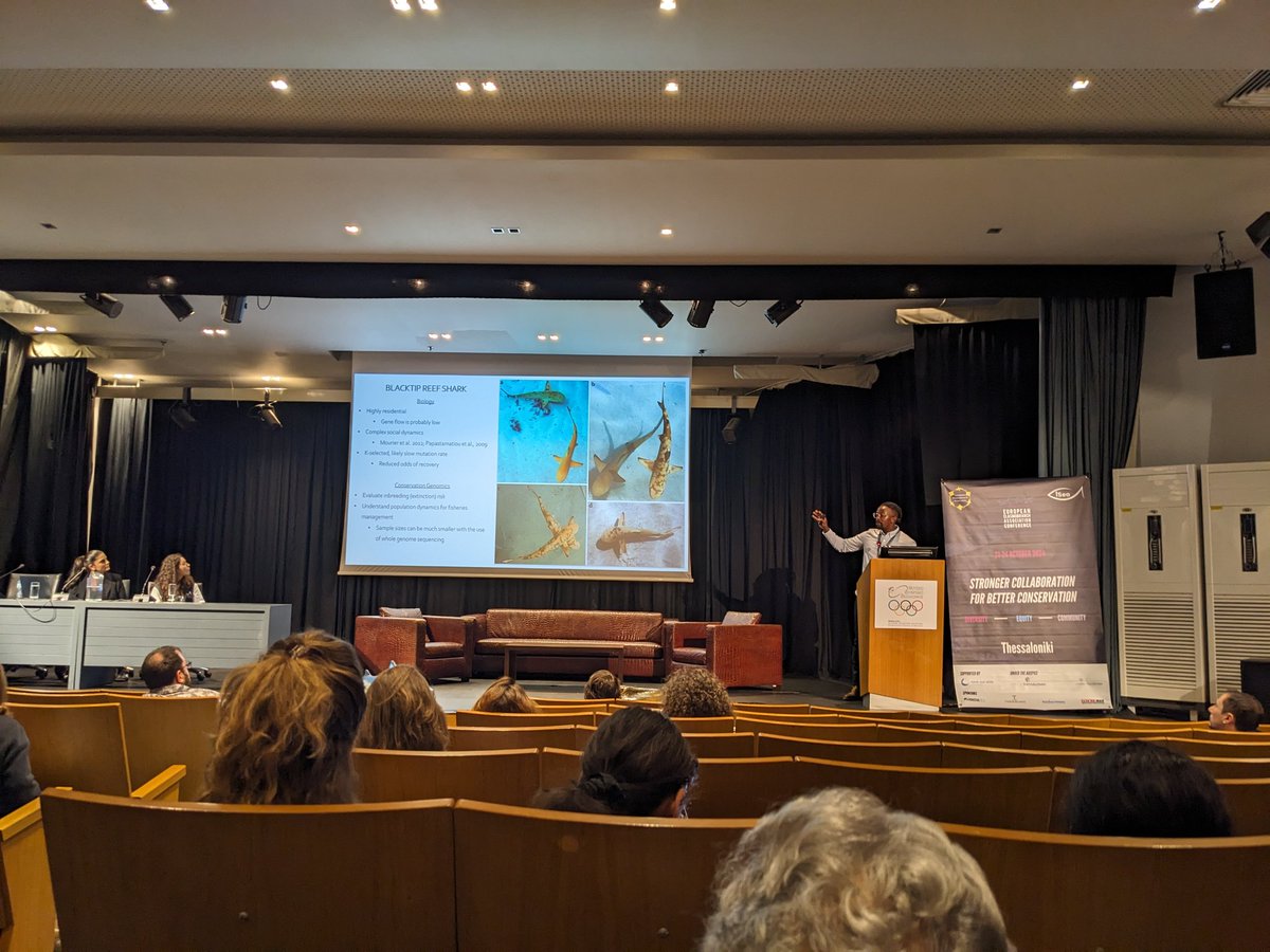 lottepohl's tweet image. So impressed by @GibbsKuguru telling the story of potential blacktip reef shark inbreeding in the maldives in such a clear, concise and just captivating way, even for non-geneticists! (I'd immediately join a science storytelling class led by you, wow you're talented!) #EEA2024