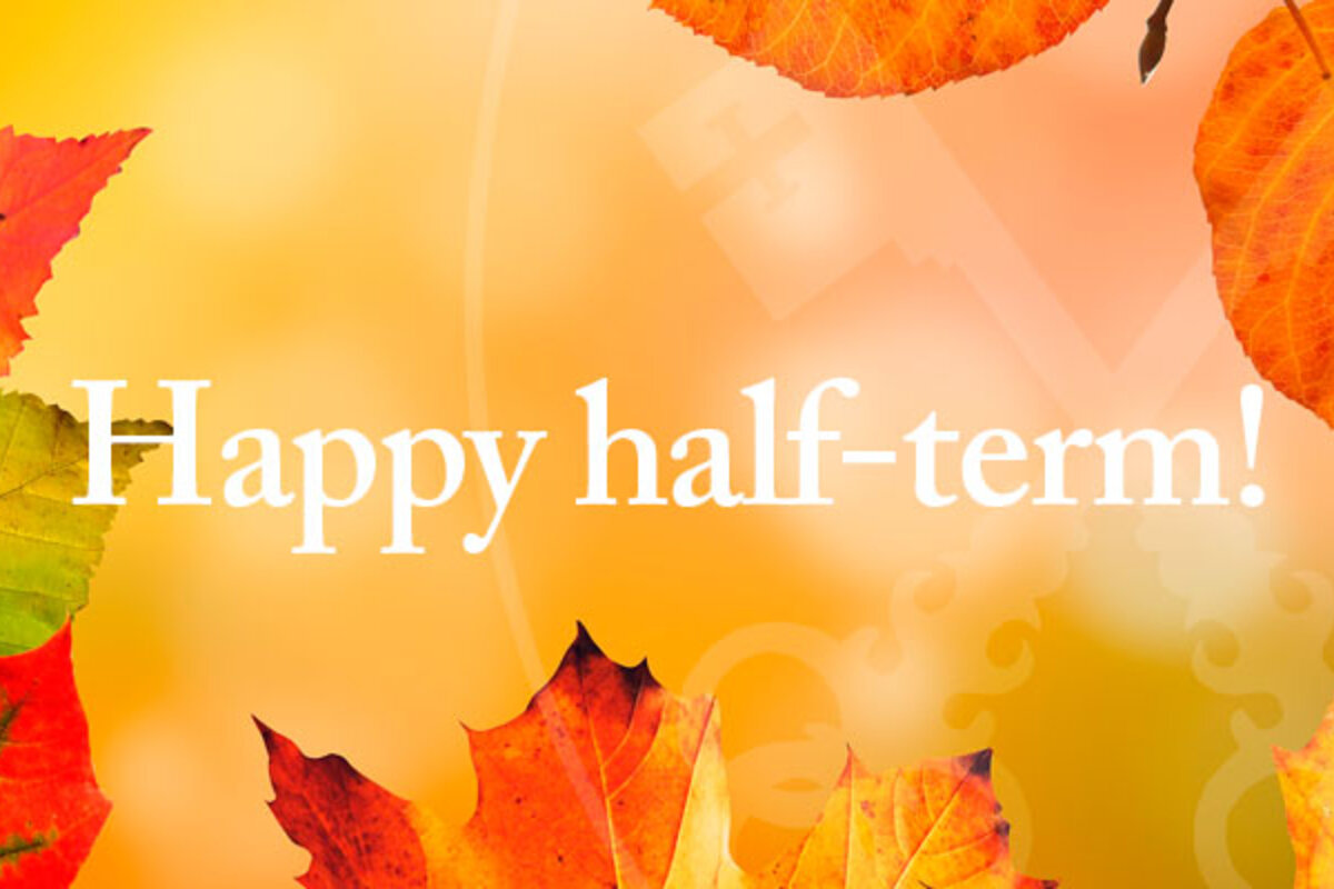 Half Term Schedule.

Most sessions are as normal, however we shan't be running Lego and K'nex club on the Wednesday, and we shan't be running on Thursday. Instead Thursday has the Rock Steady Band Workshop and the Light Party at the Carousel, both still have places.