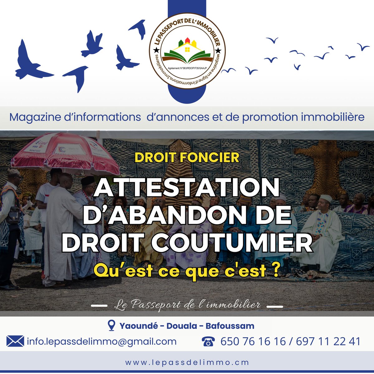 Lepassdelimmo's tweet photo. #lepassdelimmo
L'intégralité de l'article en commentaire. 
https://t.co/7KG39lJoui https://t.co/BZcPeG1nyL