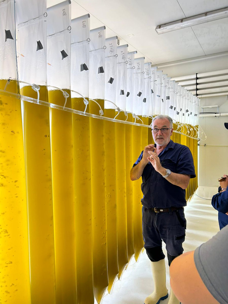 Field trip #5 final stop Albany shellfish hatchery with Jonathon Bilton #Agronomy24