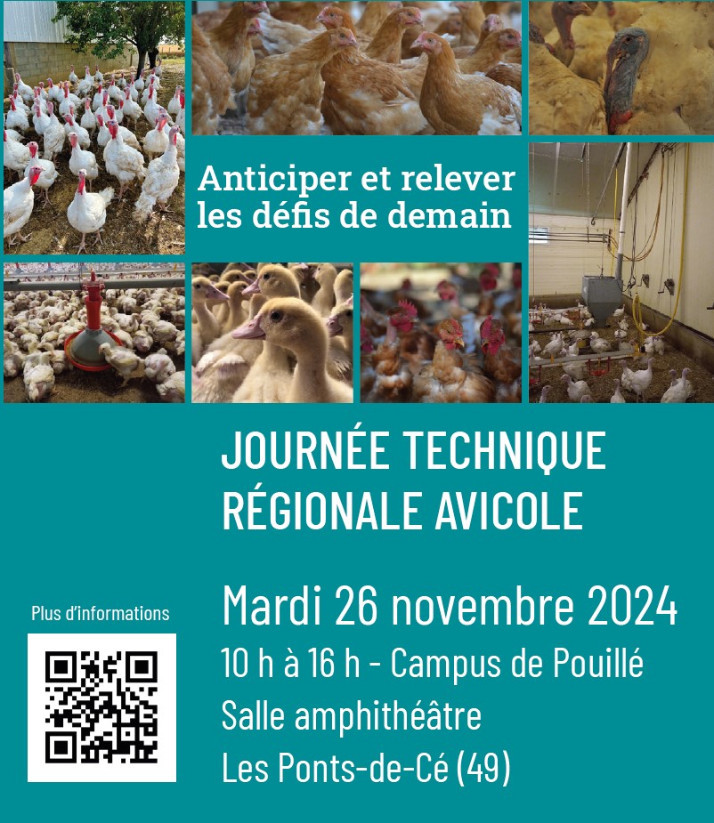 Journée régionale avicole ! Rendez-vous le 26/11 à Pouillé - Destinée à l’ensemble des acteurs des filières avicoles, cette journée sera l’occasion d’échanger sur les enjeux de demain, les projets de recherches en cours ou finalisés. Renseignements urls.fr/bT-e_v