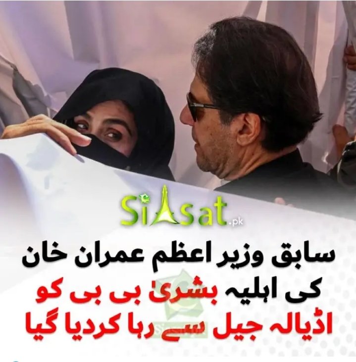 muhammad amir tweet media