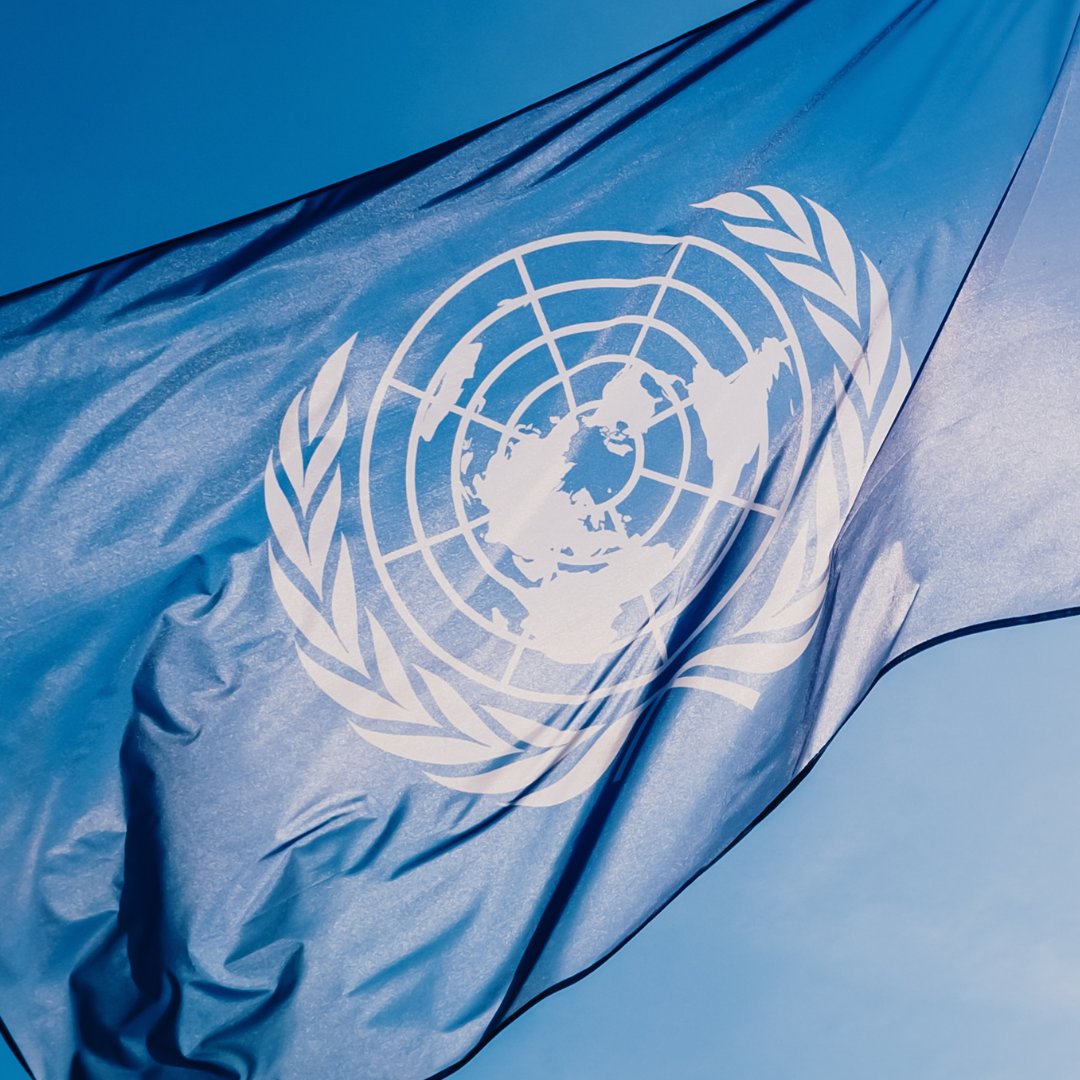 Happy #UNDay! 🇺🇳

<a href="/ilocoopsse/">ILO Cooperative, Social and Solidarity Economy</a> is dedicated to harnessing the positive impact of #coops &amp; #SSE to advance <a href="/ilo/">International Labour Organization</a>’s #DecentWork &amp; #SocialJustice mandate, while supporting broader <a href="/GlobalGoalsUN/">Global Goals</a> through multi-stakeholder partnerships for coops &amp; SSE like @copaccoop &amp; @UNTFSSE.