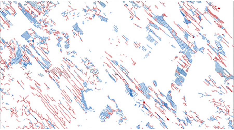 New discussion opening draws insights on intricacies with spatially explicit data and analyses when studying the vulnerability of forest socio-ecological systems to disruptive abiotic and biotic factors. doi.org/10.14214/sf.24…