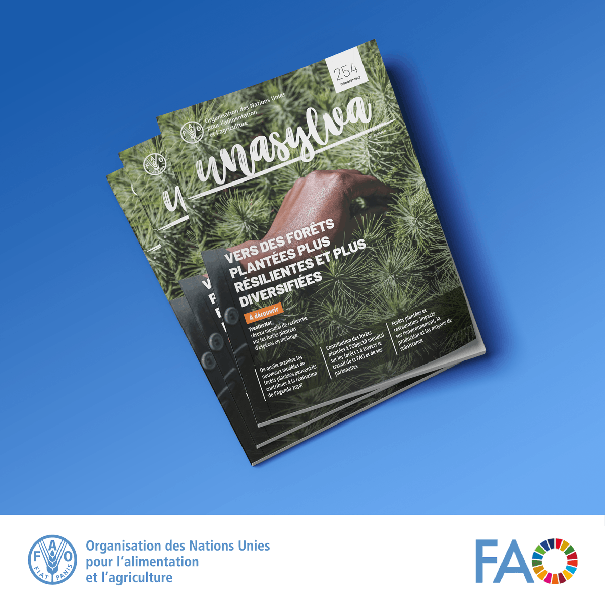 🌳 Unasylva #254 <a href="/FAOenFrancais/">FAO en français</a>  « Vers des forêts plantées plus résilientes et diversifiées » est maintenant disponible en téléchargement en français.

Christophe Orazio Directeur de l'IEFC, participe à cette édition.

➡️bit.ly/3BT4Bzz