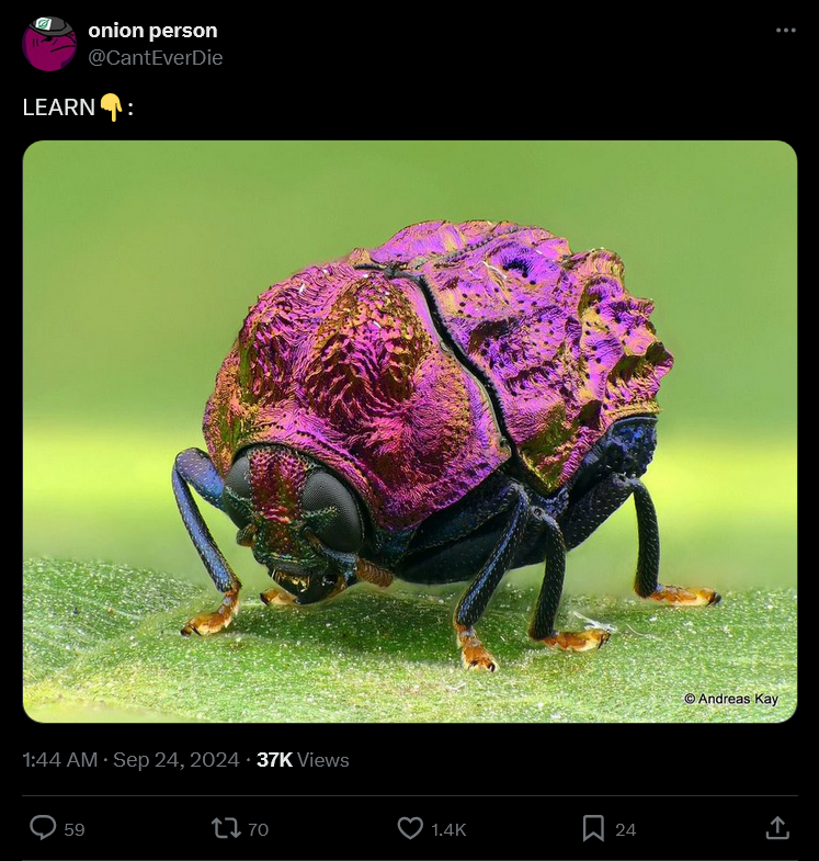 the council: this is terrible. papalymo is dead, and this primal could bring about another calamity! whatever shall we do?

nero tol scaeva: