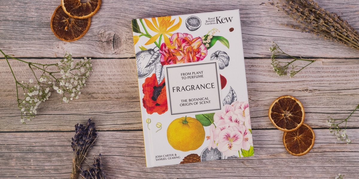 OUT TODAY 🍊🌹🌺

Kew: Fragrance explores the botanical origins of perfume, unveiling the science and secrets behind the most intoxicating ingredients.

Shop now: brnw.ch/21wO3Kc

<a href="/kewgardens/">KewGardens</a> #KewGardens #fragrance