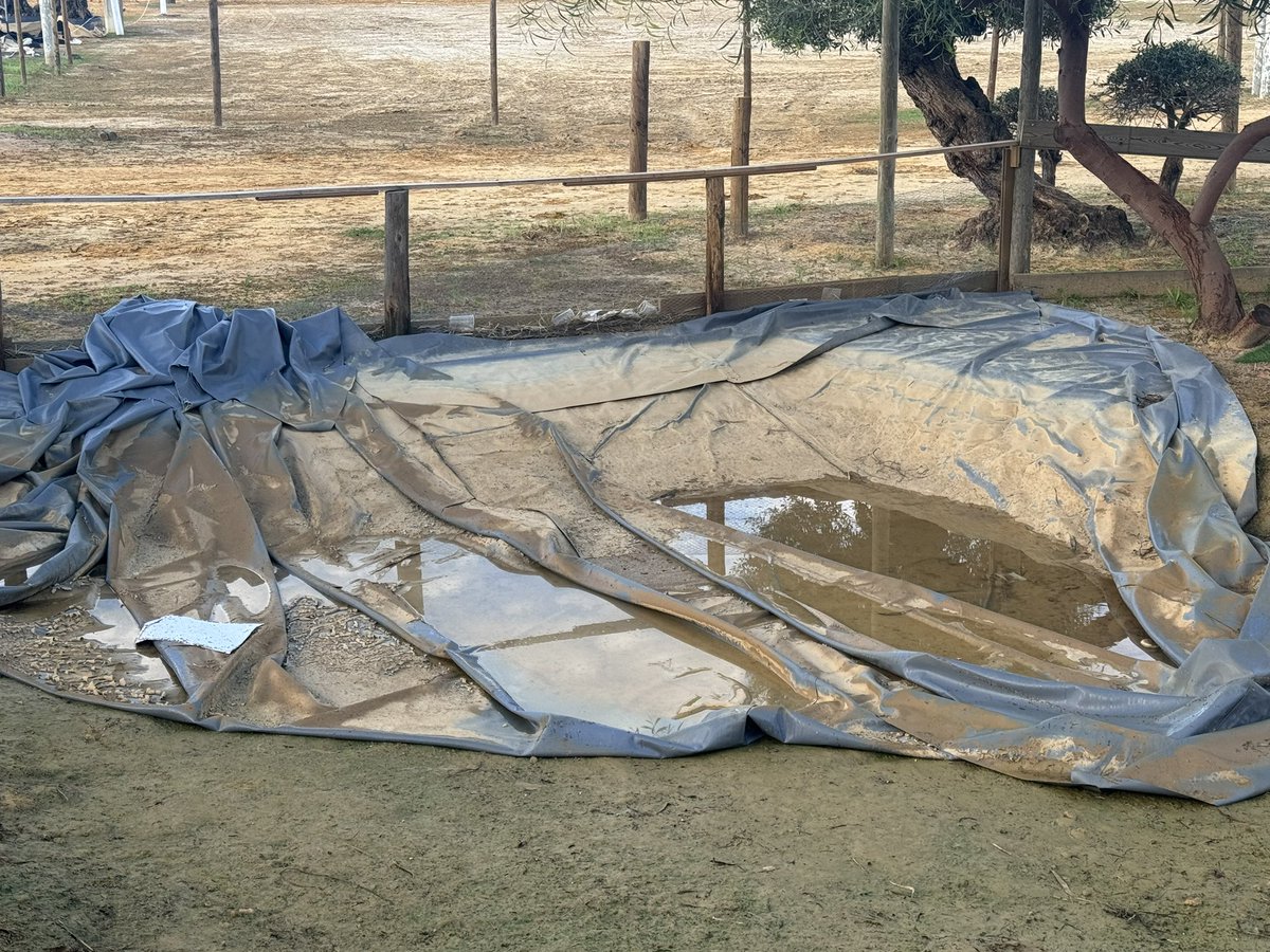 angrod89's tweet photo. Me gustaría saber si @AytoGines piensa arreglar todo esto.
Cables colgando, trozos de hierros y maderas con astillas, agujeros en el suelo, agua estancada… Aparte de la cantidad de basura que queda aún de ‘La pará’. 
Esto es un peligro. https://t.co/qUmfTlIEwO
