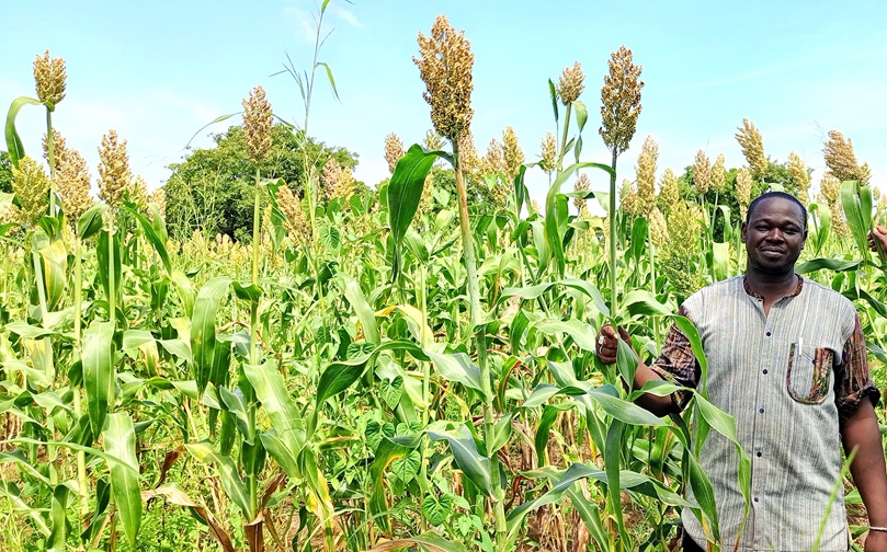 UNPSB4's tweet photo. Yacouba  NAON, producteur semencier, fait partie de ces jeunes, qui après  leurs études, s’investissent dans l’agriculture. A Banankorosso, village  situé à 15 km de Karangasso Sambla, M. NAON exploite  plus de 170 ha de terres, dont 90 ha de maïs, 50 ha de riz. #UNPSB #Lwili https://t.co/vfFkAYraZe