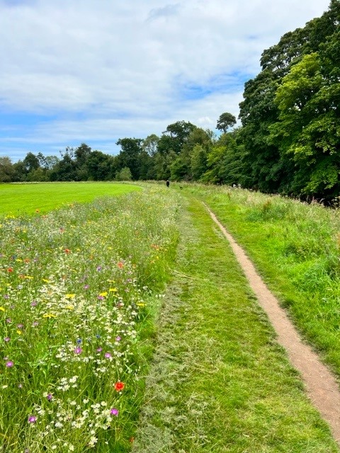 Pollinators tweet media