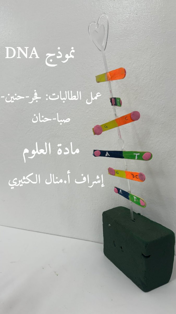 manalphys's tweet photo. نموذج ال DNA تنفيذ طالبات ثالث متوسط 🧬 https://t.co/jkRE9ftjAz