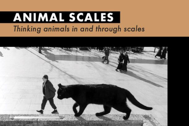Scales: Political, the latest seminar in the Animal Scales series!

Sue Donaldson &amp; Will Kymlicka explore seeing animals as members of groups &amp; how these groups fit into larger visions of interspecies politics &amp; justice

➡️Join us on 11 December, 5-7pm shorturl.at/U4d2e