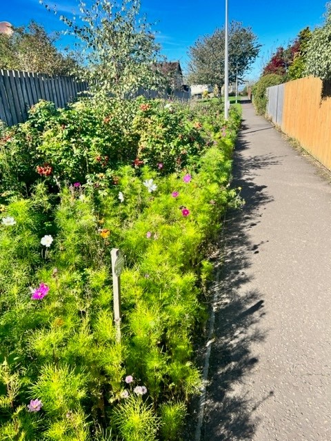 Pollinators tweet media