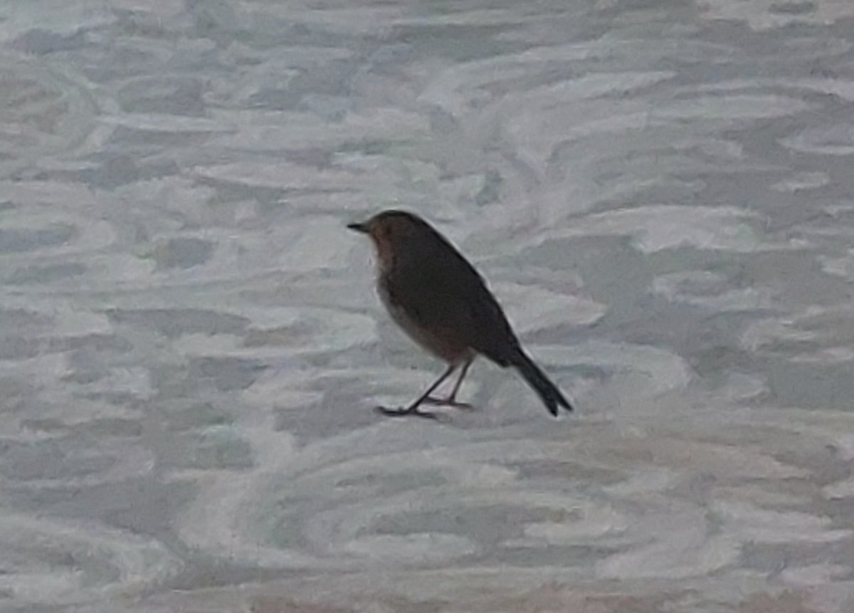 Finola Colgan tweet media