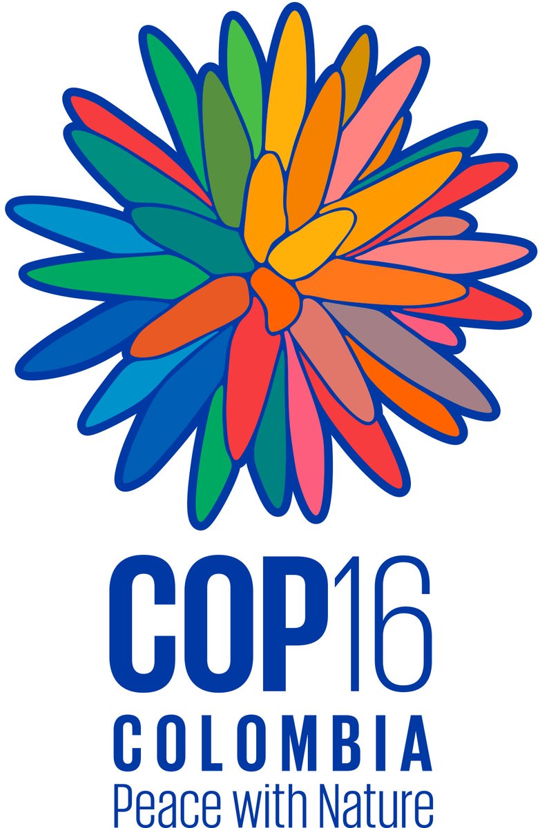 Tiesitkö, että COP16-luontokokouksessa käsitellään myös terveyteen liittyviä teemoja? Suomelle niissä tärkeää mm.
🔸Terveys- ja hyvinvointinäkökulma
🔸Yhteistyö terveyssektorin, kuten WHO:n, kanssa
🔸Tasa-arvo
🔸Osallistava biodiversiteettityö
#COP16Colombia