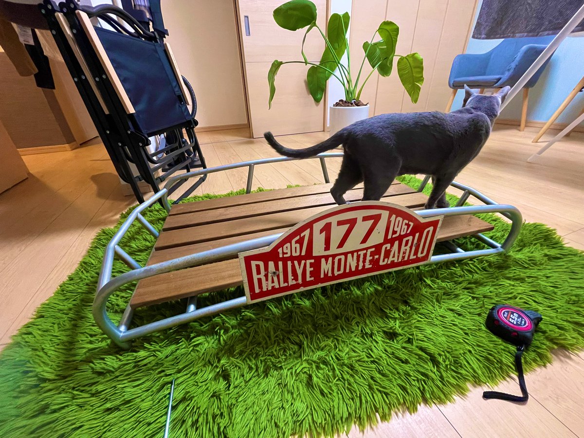 キャリア仕様に向けて、モンテプレート取り外し中〜

ミニデイに向けて、猫の手を借りてます🐈‍⬛