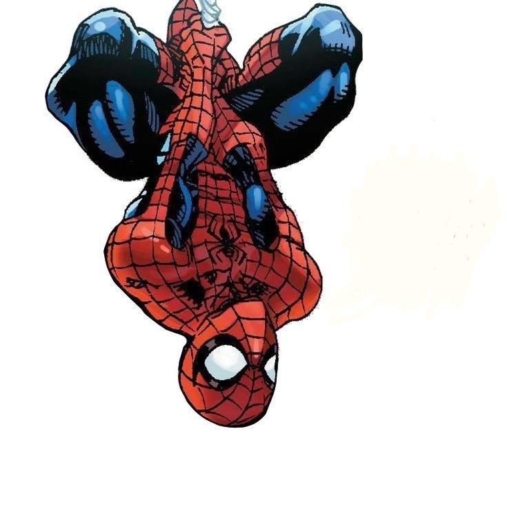 Webs! (Ia) tweet media
