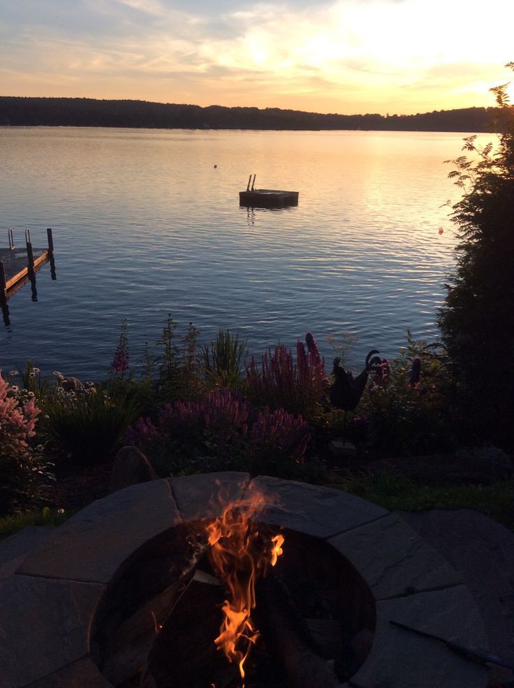 I am Parastoo tweet media