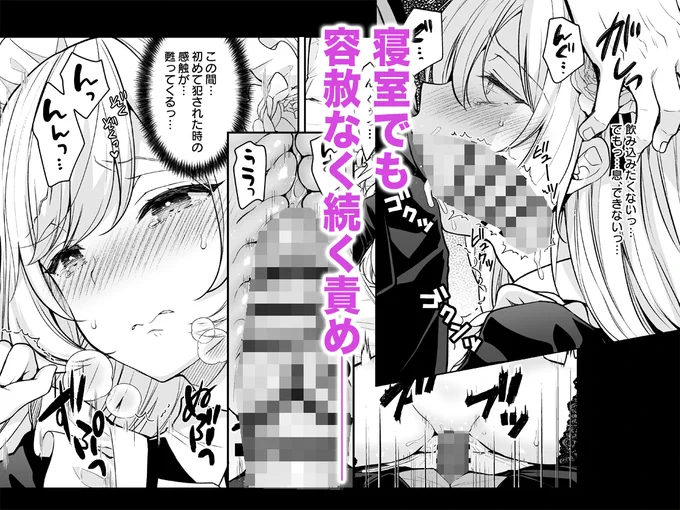 隷嬢の小夜曲<セレナーデ>第二楽章 サンプル(3/3) 