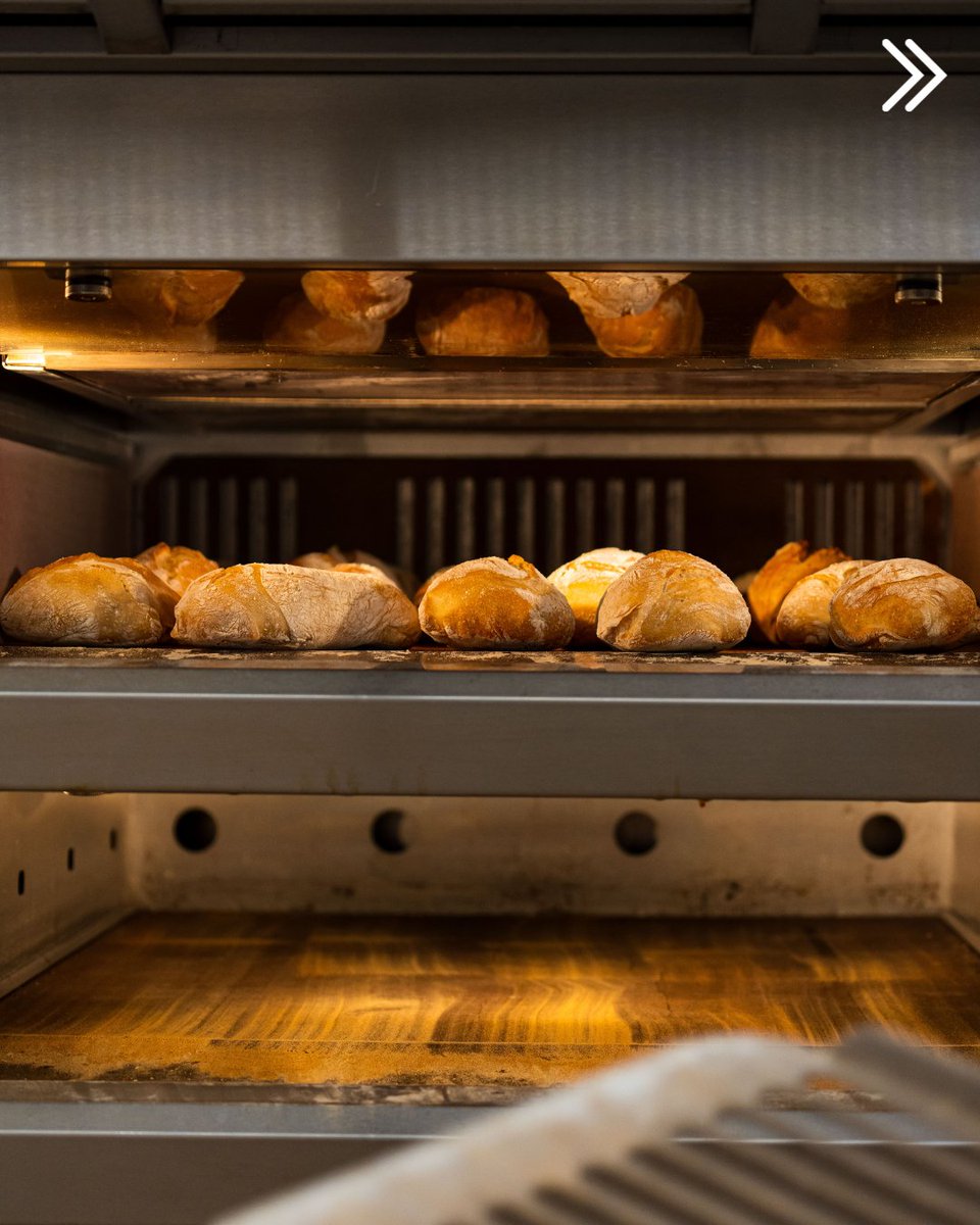 Alma_School's tweet image. Ricordi il sapore di una ciabatta appena sfornata? Con il nostro corso di panificazione, ogni morso diventa una rivoluzione di sapori! 
Vuoi imparare? Vieni e lasciati guidare dai nostri maestri panificatori. 
#BreadLovers #scuoladicucina #AlmaSchool