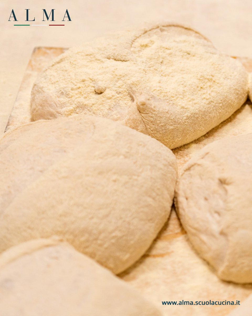 Alma_School's tweet image. Ricordi il sapore di una ciabatta appena sfornata? Con il nostro corso di panificazione, ogni morso diventa una rivoluzione di sapori! 
Vuoi imparare? Vieni e lasciati guidare dai nostri maestri panificatori. 
#BreadLovers #scuoladicucina #AlmaSchool