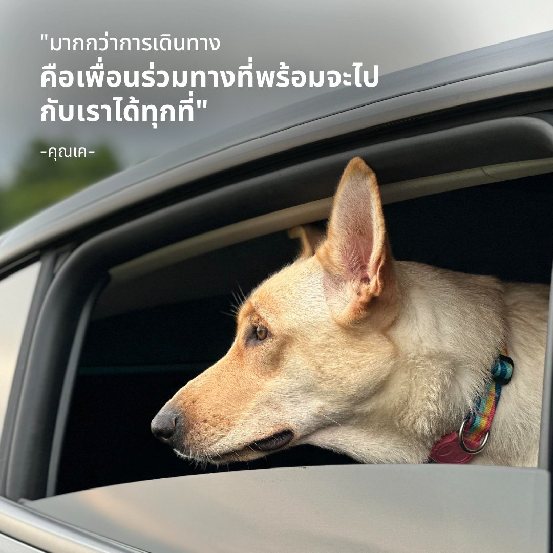 tesla_thailand's tweet photo. มาชมภาพความประทับใจจากผู้ใช้ Model Y ในแคมเปญ #MYFirstTrip คุณ็สามารถเป็นส่วนหนึ่งของกิจกรรมแบบี้ได้ เพียงติดตามเราบนช่องทางโซเซียล เพื่อไม่พลาดกิจกรรมสุดพิเศษในอนาคต และสำหรับผู้ที่ยังไม่ได้ลอง Model Y ลงทะเบียนทดลองขับได้เลย
https://t.co/JdNVR5Vp5O https://t.co/cRiTmJiMDq