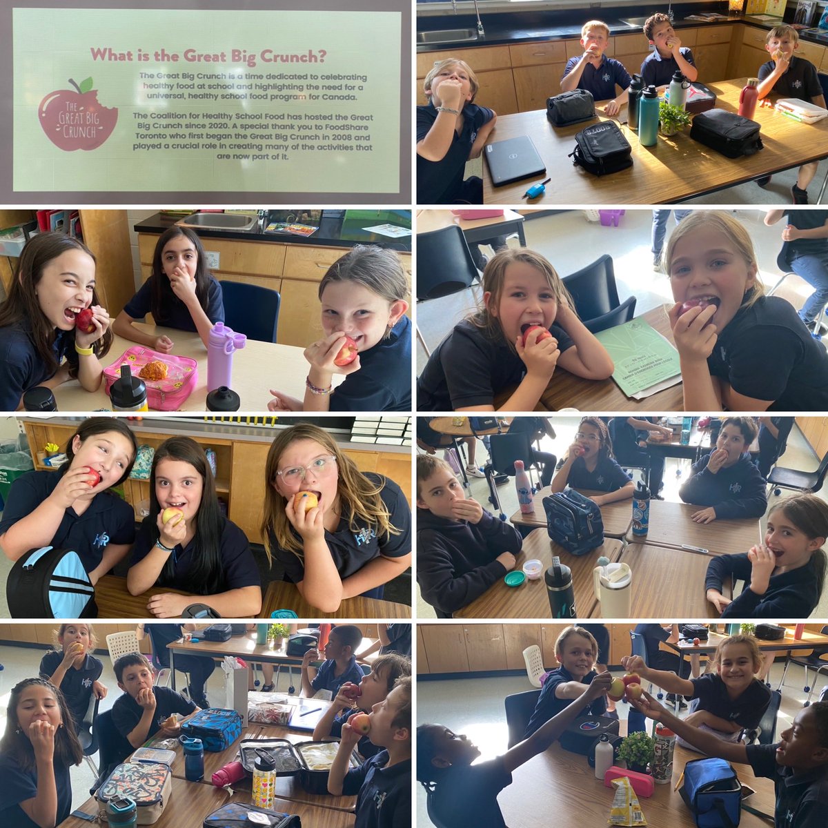 Participating in the #BigCrunch 🍎! ⁦<a href="/HolyRosaryM/">Holy Rosary, Milton</a>⁩ #WeAreHRM