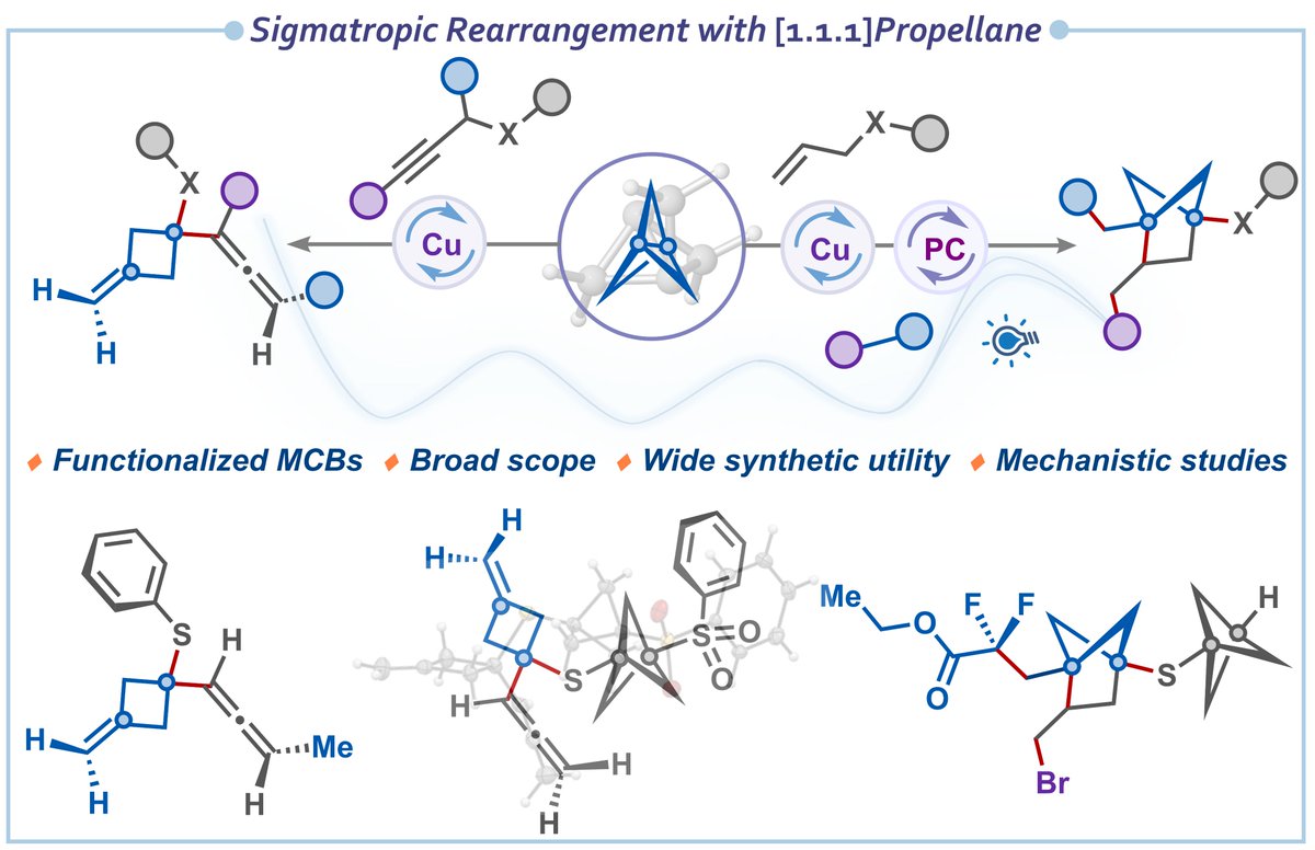 HariGroupIISc's tweet image. Our work on the first sigmatropic rearrangement with [1.1.1]propellane for accessing functionalized MCBs and its application in the synthesis of BCHs is out @ChemRxiv. Thanks, @serbonline @iiscbangalore, for the funding. doi.org/10.26434/chemr…