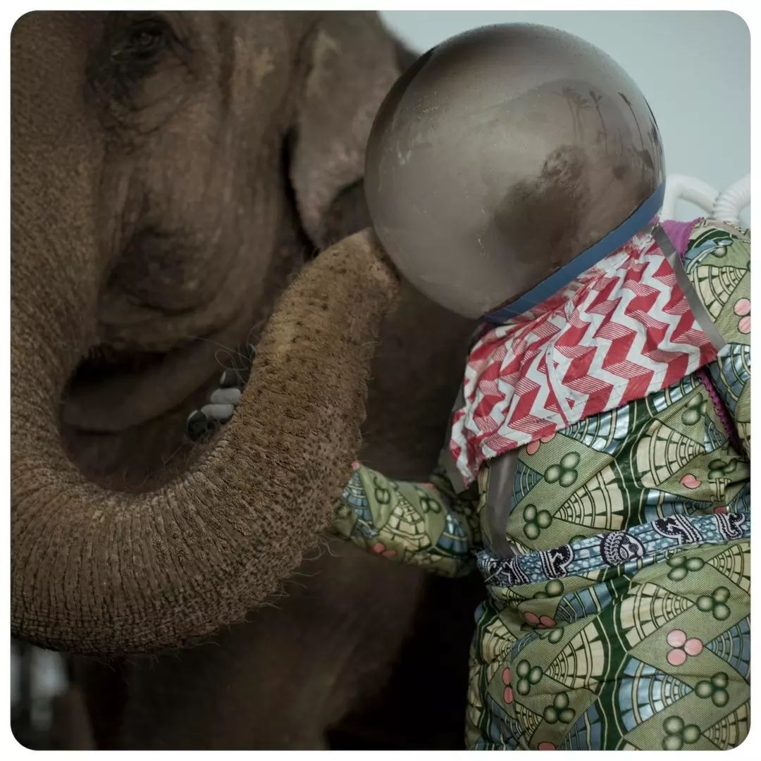 Tate's tweet image. 'In my opinion the world has been explained to us using the same words and structures for too long'. - Cristina de Middel 🌍

🔎 Our #WorkOfTheWeek is this photographic series created by Cristina de Middel, a Spanish documentary photographer and artist living and working in…