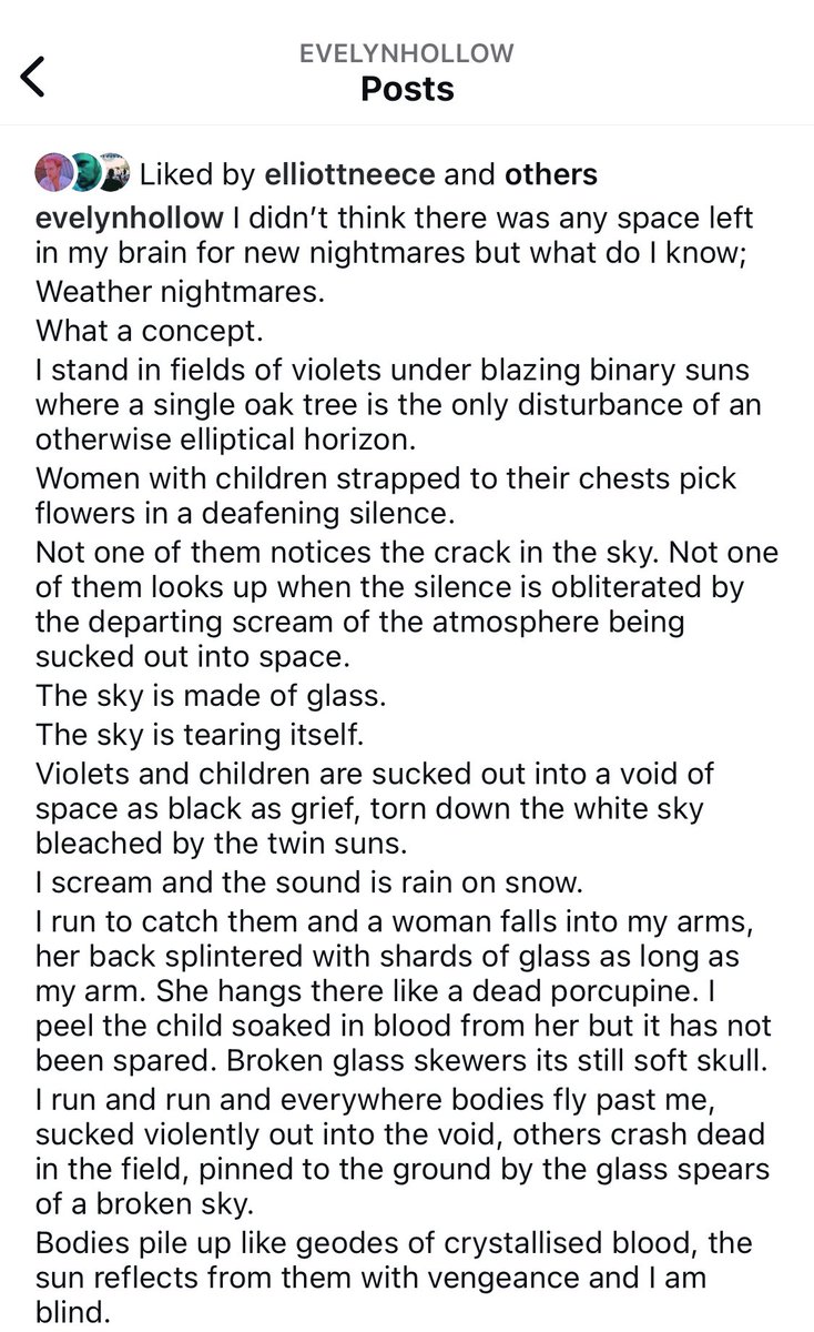 𝐄𝐯𝐞𝐥𝐲𝐧 𝐇𝐨𝐥𝐥𝐨𝐰 tweet media