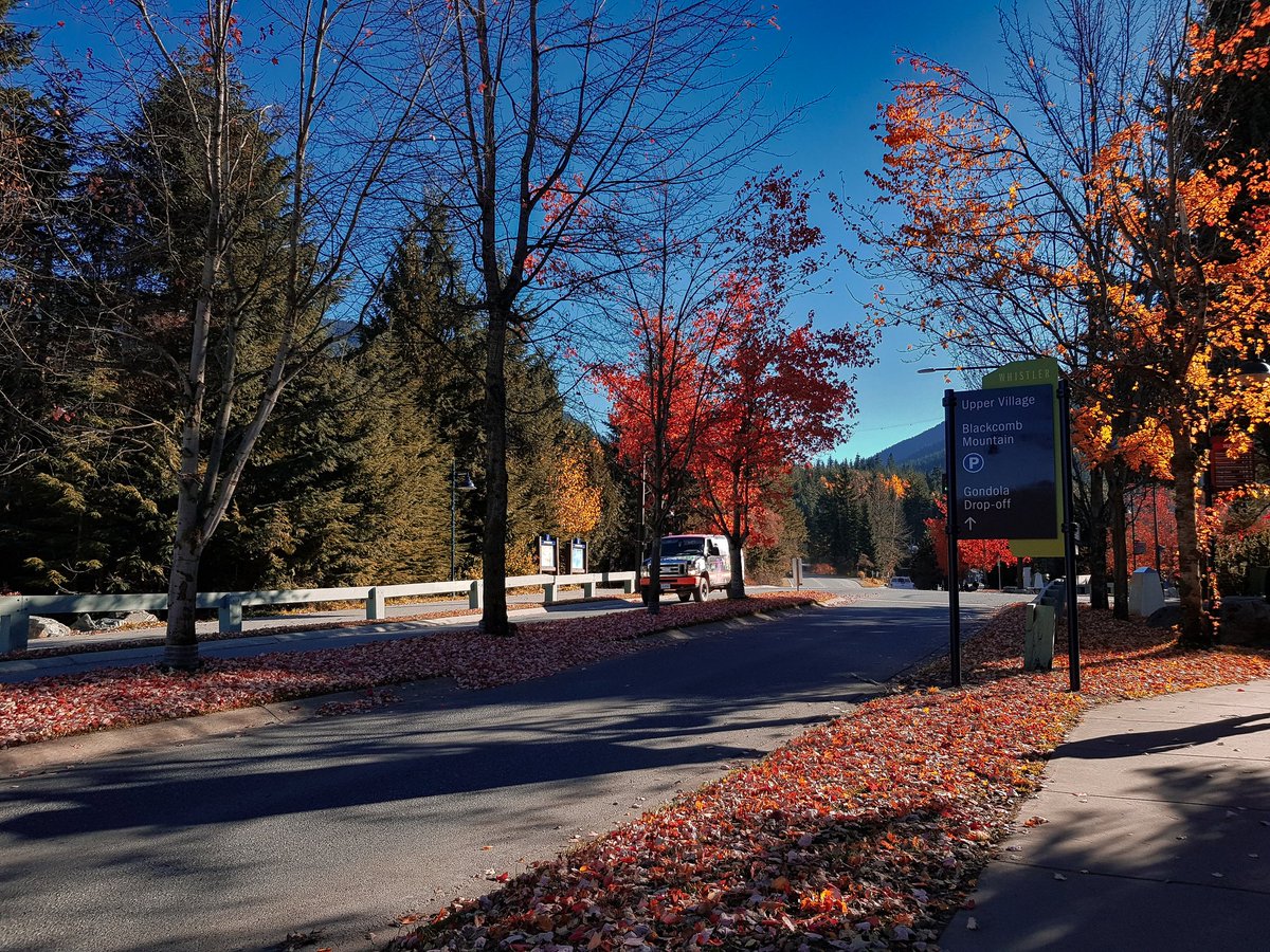 dard_e_disco_'s tweet photo. #FallCompetition
#CanadaDairies https://t.co/6rRvrrZpjW