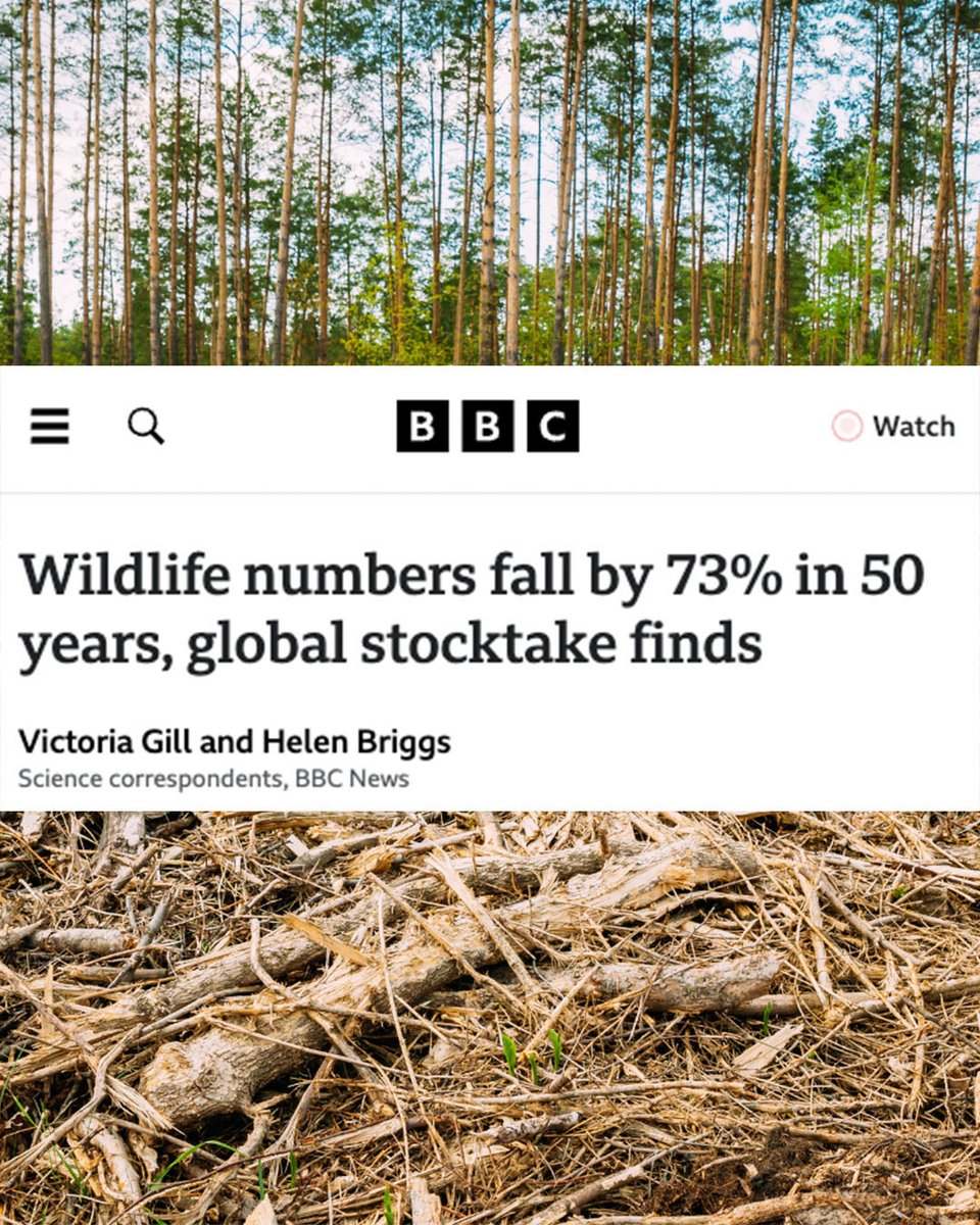 SHOCKING: A recent report reveals GLOBAL WILDLIFE populations have SHRUNK by an average of 73% in the past 50 years. 

Global BIODIVERSITY is COLLAPSING - but it's not just a threat to wildlife - it's a fundamental THREAT to HUMANITY and we have to act now.