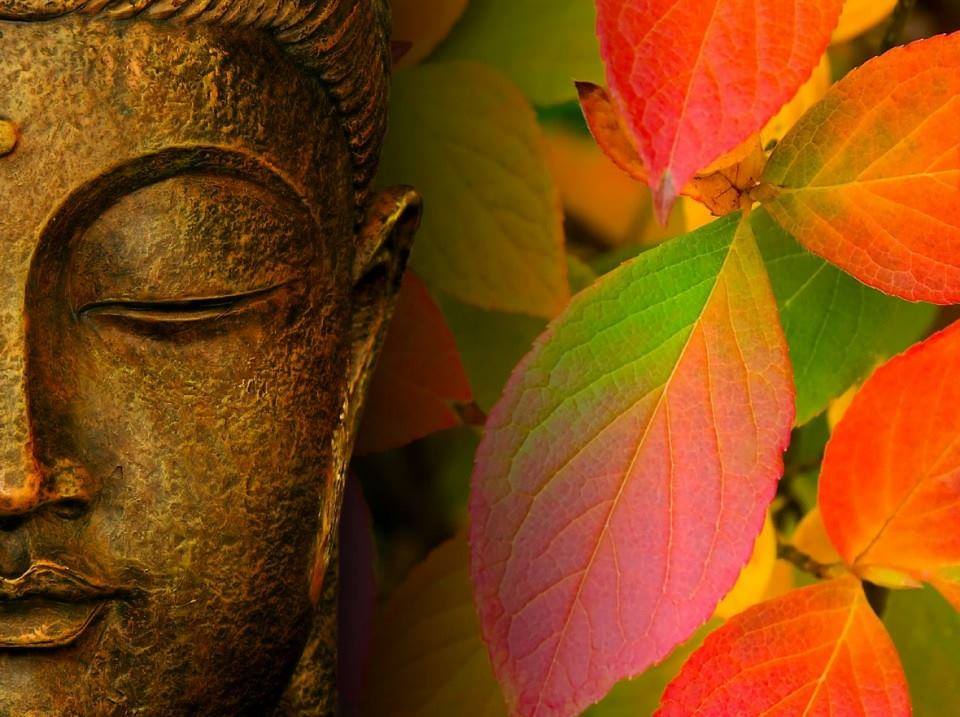 thamarindo's tweet photo. “If you correct your mind, the rest of your life will fall into place.”
— Lao Tzu https://t.co/mHU90KygGi