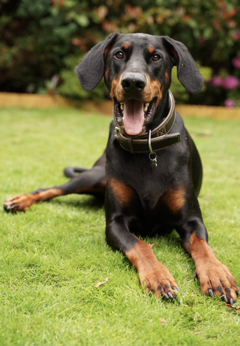 Craig Inness tweet media