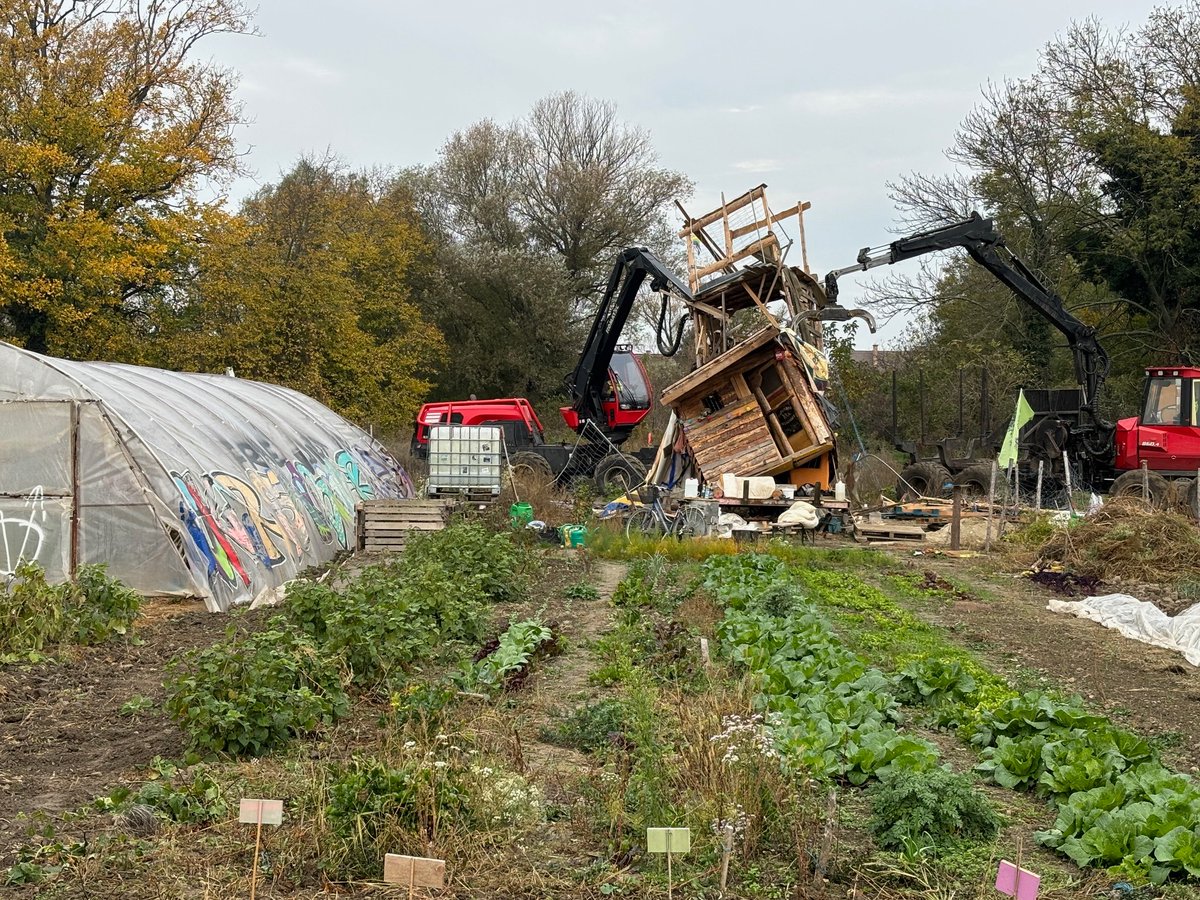 GLOBAL 2000 (@global2000) on Twitter photo Heute wurde mit den Baum-Rodungen für die "Ostumfahrung" Wiener Neustadt begonnen, der Protestacker wird von Einsatzkräften geräumt. GLOBAL 2000 unterstützt das Anliegen der Bäuer:innen, der Anrainer:innen und der Aktivist:innen am Protestacker in Lichtenwörth. <a href="/Vernunft_WN/">Vernunft statt Ostumfahrung</a> Heute wurde mit den Baum-Rodungen für die "Ostumfahrung" Wiener Neustadt begonnen, der Protestacker wird von Einsatzkräften geräumt. GLOBAL 2000 unterstützt das Anliegen der Bäuer:innen, der Anrainer:innen und der Aktivist:innen am Protestacker in Lichtenwörth. <a href="/Vernunft_WN/">Vernunft statt Ostumfahrung</a>