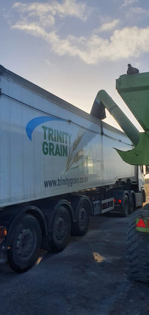 trinitygrainltd's tweet photo. And here comes the maize… One of our busy drivers on farm collecting maize from one of our members 🌾

#maizeharvest #graintransport https://t.co/E8mysYMiFX