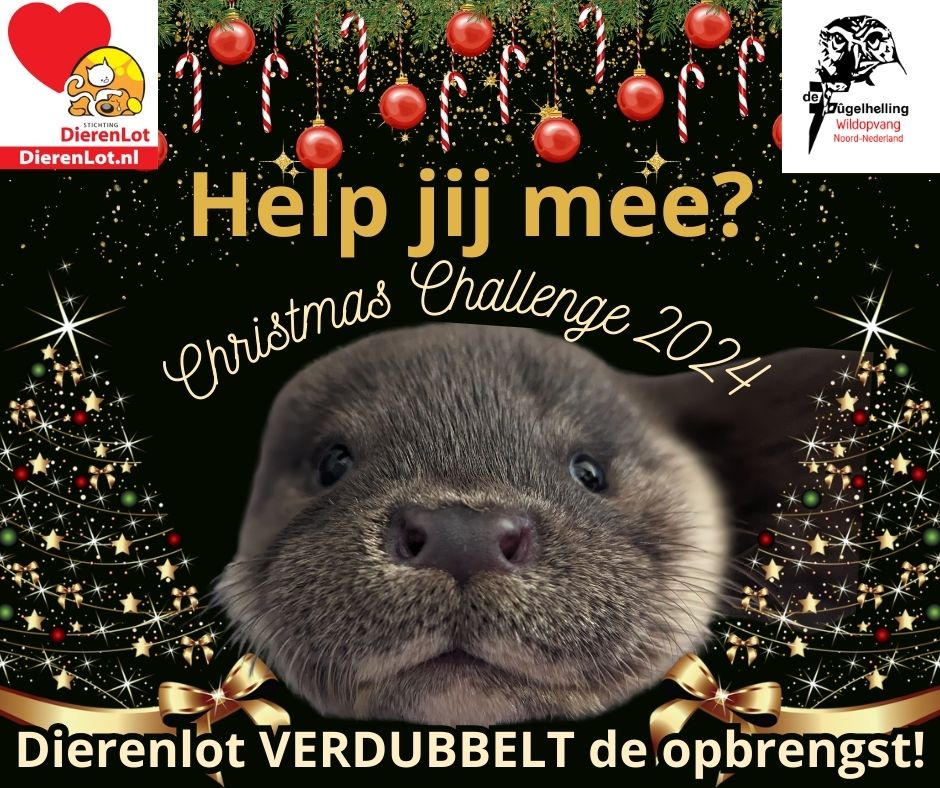 #ChristmasChallenge 
#Help jij ons de #dieren helpen?
Dit jaar is het doel: Een nieuw #filtersysteem voor de #bassins
#Steun onze actie nu!
Bedankt namens de dieren.