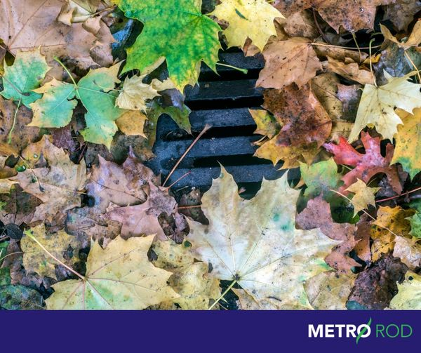 Metro Rod Newport, Hereford, Gloucester & Cardiff tweet media